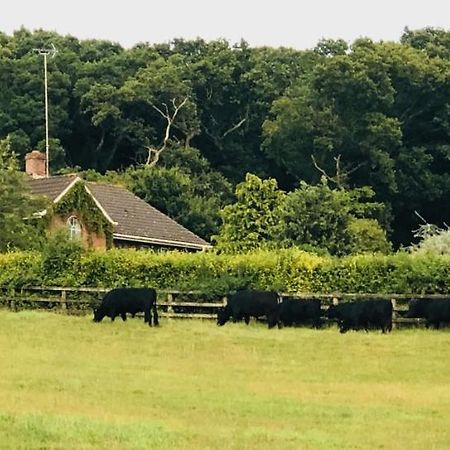Yellowham Farm, Dorchester Higher Bockhampton Exterior photo