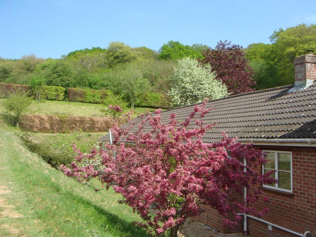 Yellowham Farm, Dorchester Higher Bockhampton Exterior photo